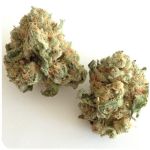 Шишки "White Widow" (Белая вдова) Гидропоника - Бошка VHQ в Вятских Полянах Шишки "White Widow" (Белая вдова) Гидропоника - Бошка VHQ в Вятских Полянах