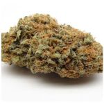 Шишки AK47 (Гидропоника, Бошка) VHQ в Вятских Полянах Шишки AK47 (Гидропоника, Бошка) VHQ в Вятских Полянах