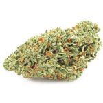 Шишки OG Kush (Гидропоника, бошки) VHQ в Вятских Полянах Шишки OG Kush (Гидропоника, бошки) VHQ в Вятских Полянах